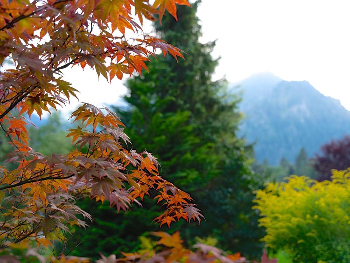 Hubertus Apartments Schliersee Bagian luar foto
